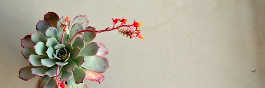 mbixi's profile banner image