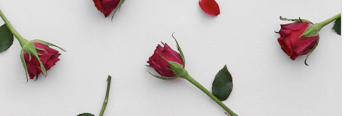 yamila242's profile banner image
