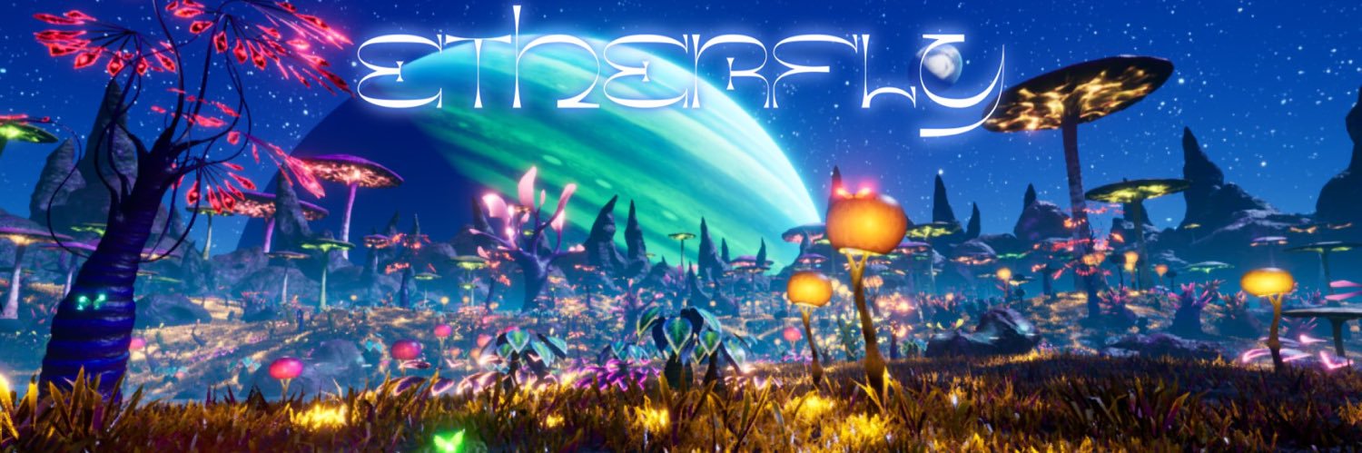 EtherFly banner