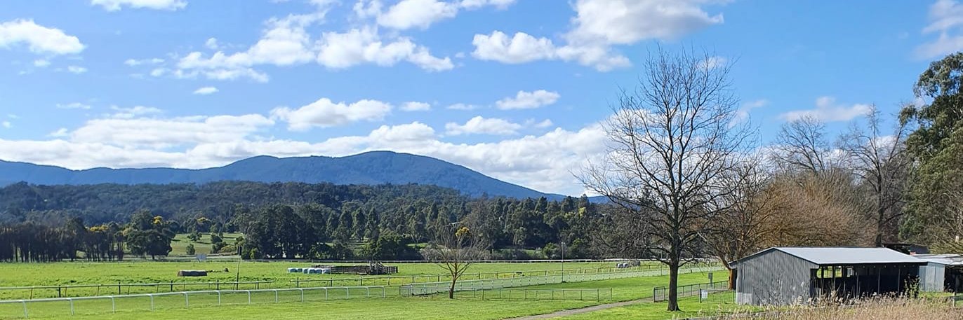 Dr Leanne Downing banner