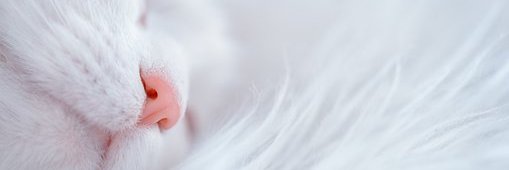 HartleyKimiko's profile banner image