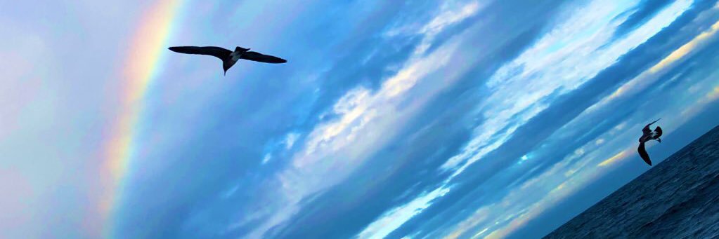 katurakosuke's profile banner image