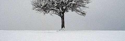 就是玩呗！ banner