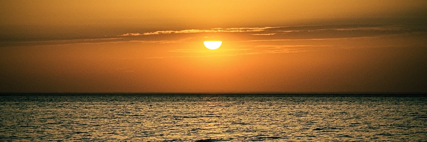 scotts_camera banner