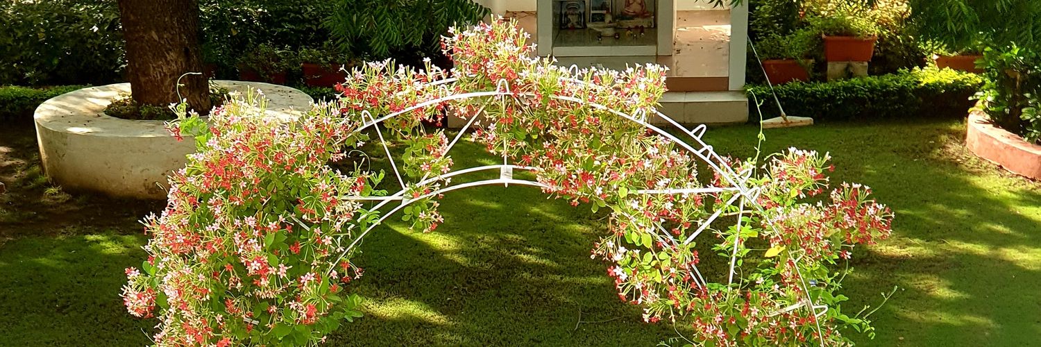 Rakesh Kumar Yadav banner