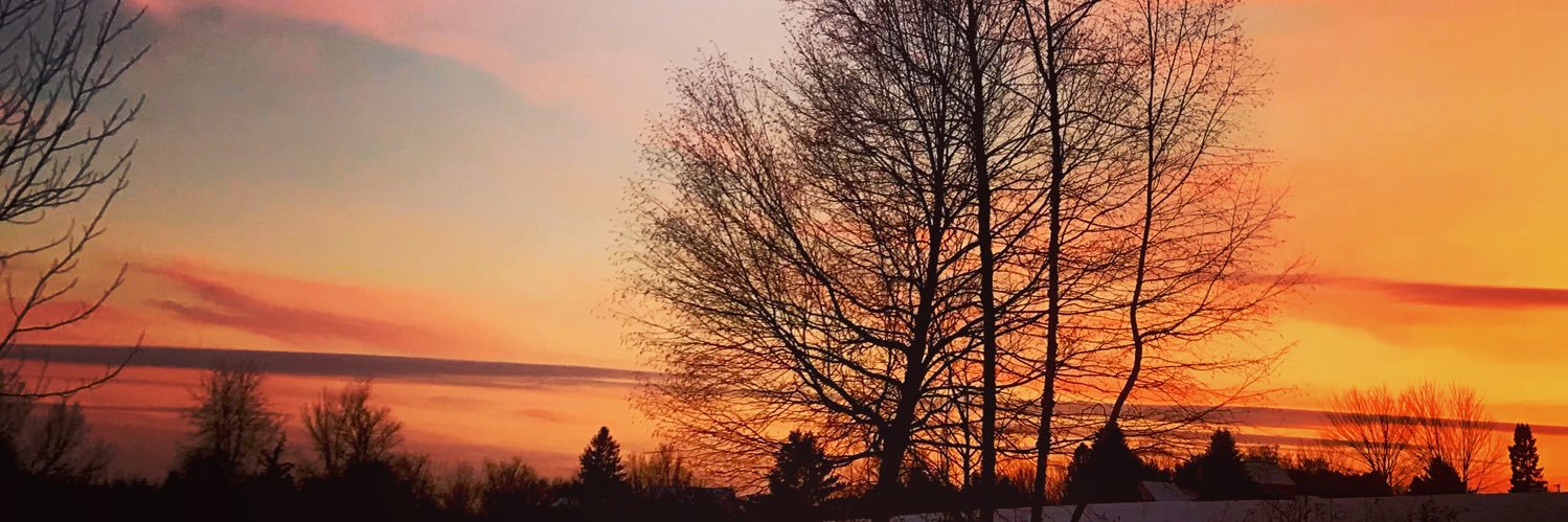 mainemom's profile banner image