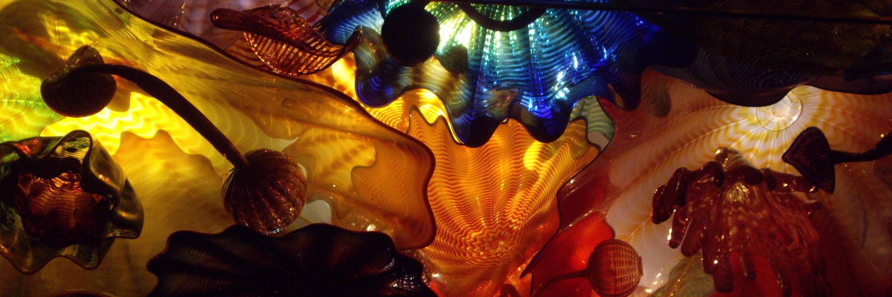 Mina Radhakrishnan banner