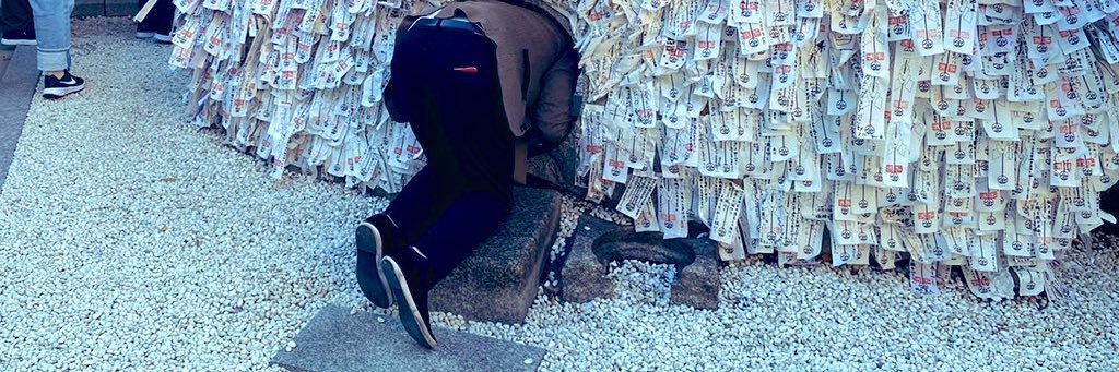 痔主のただのゾンビ🧟 banner