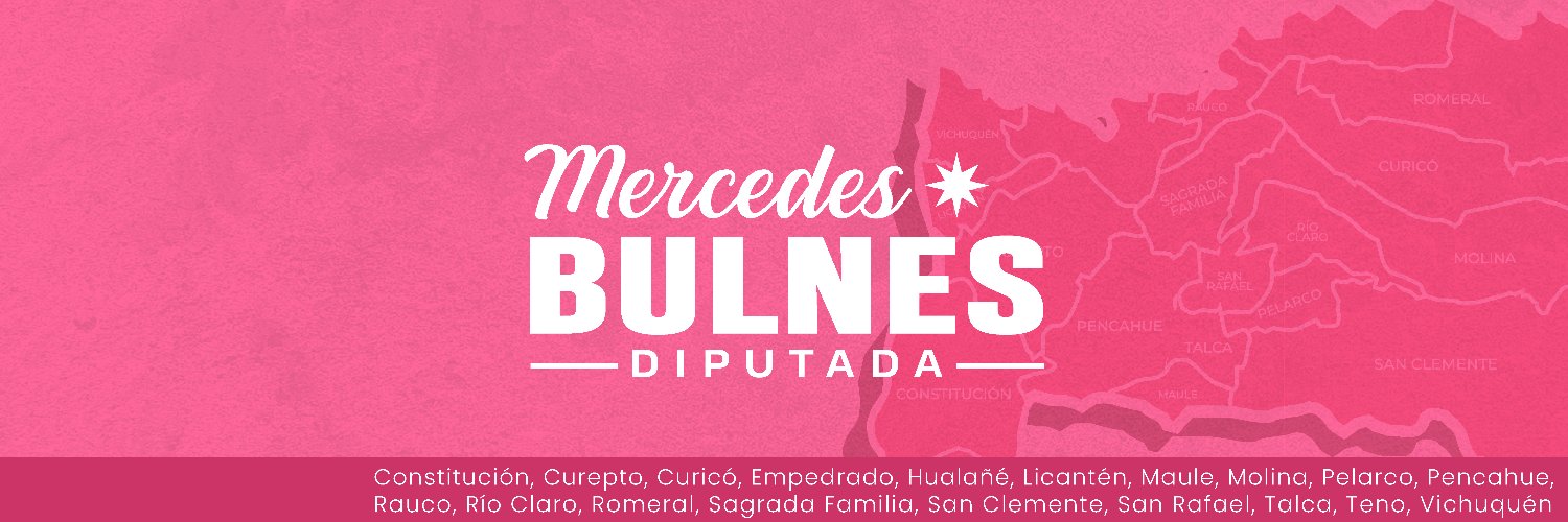 Mercedes Bulnes's banner