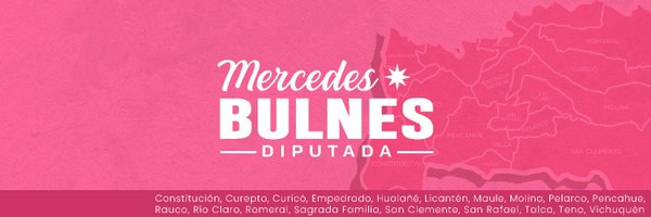 DiputadaBulnes Profile Banner