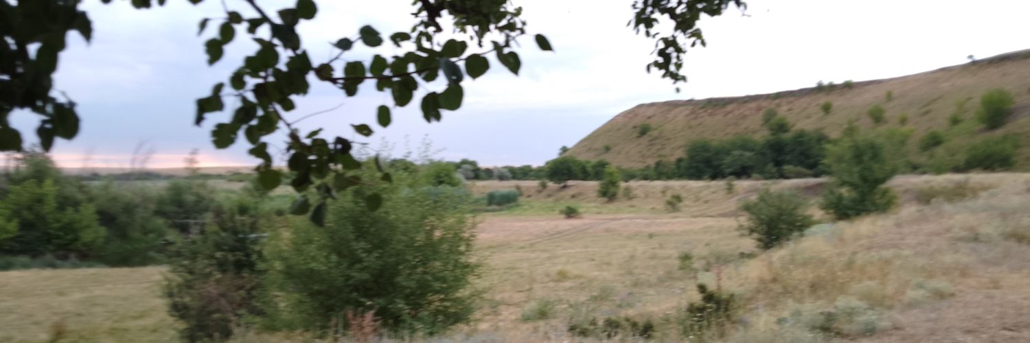 blackmiddleman's profile banner image