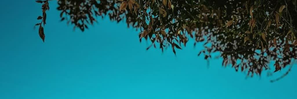 praneethgaddam's profile banner image