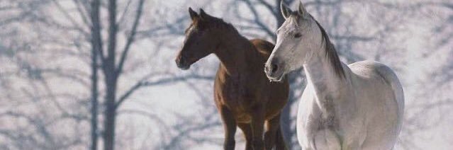 ÐίĵLᏋ banner
