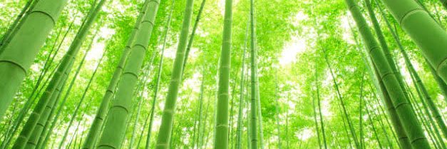 竹林昌毅 banner