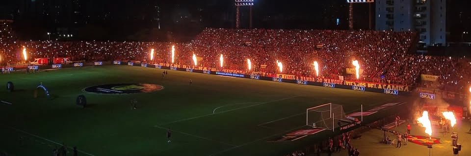 vini scr🇩🇪 (10/65)🦁 banner