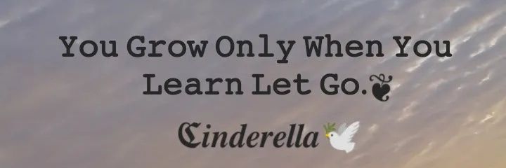itxcinderella's profile banner image