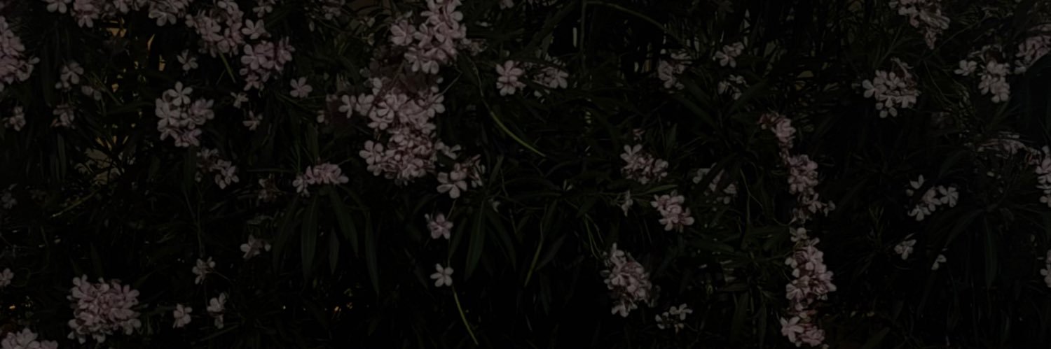 4evzzz's profile banner image