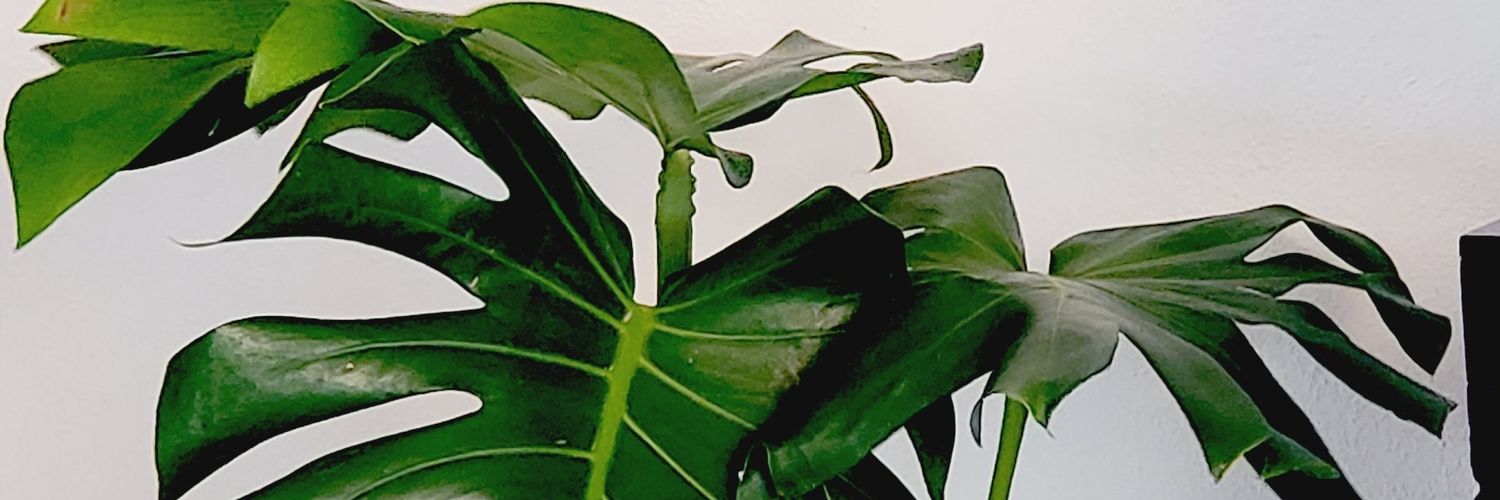 mp3_486's profile banner image