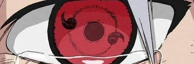 Saúl Zatarain banner