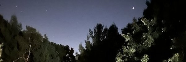 yobyot Profile Banner