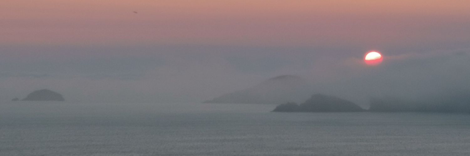 Ian Thomas banner