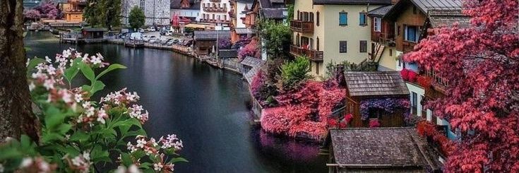 🕊⋆. 𝕞𝕠𝕠𝕚𝕖 𝗜𝘀𝗮𝗯𝗲𝗹 🕊⋆. banner