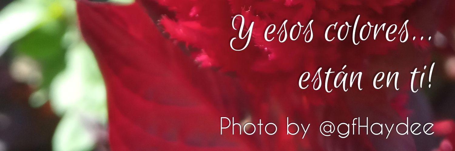 HaydeeGF's profile banner image