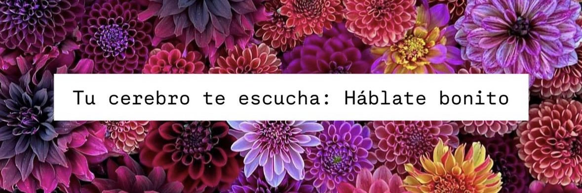 Mariaje ⚓️ banner