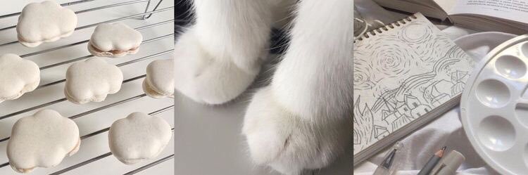ace ✧.* banner