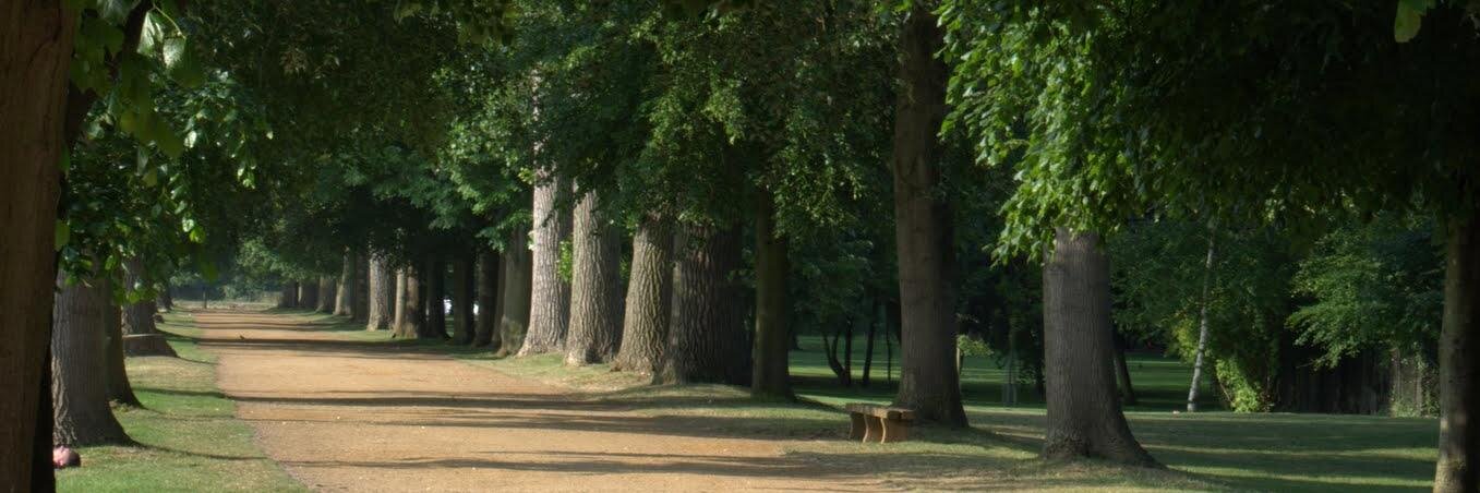 Andrew Martin banner