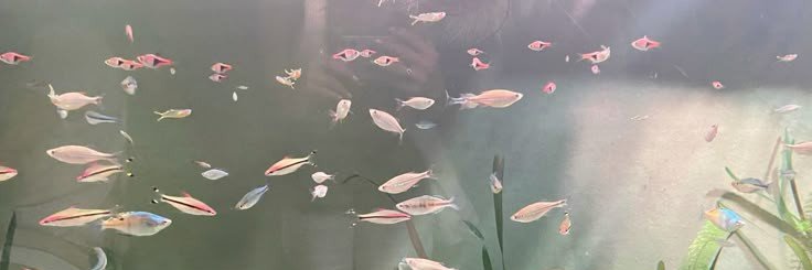 areuumijin's profile banner image