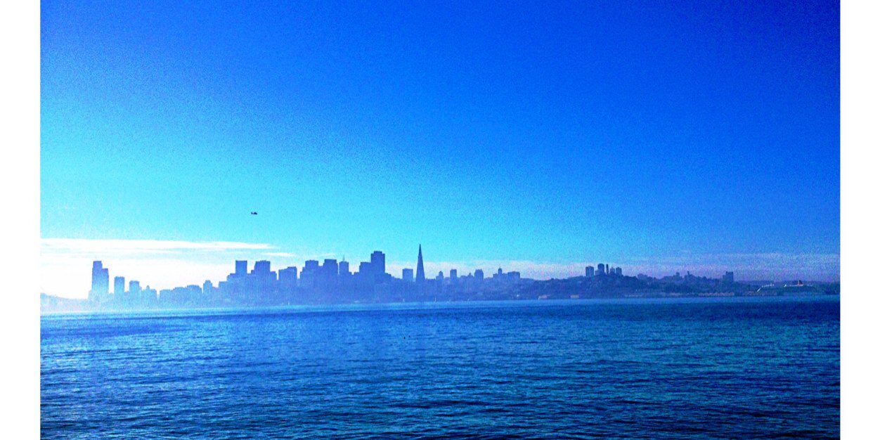 Damon Stapleton banner