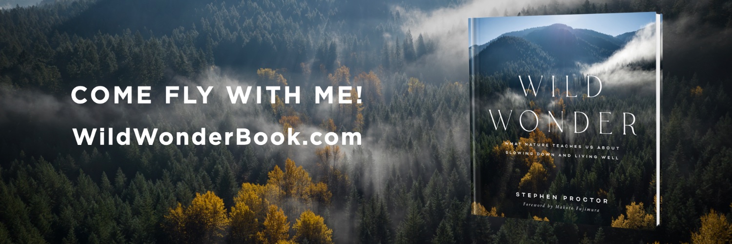 stephen proctor banner