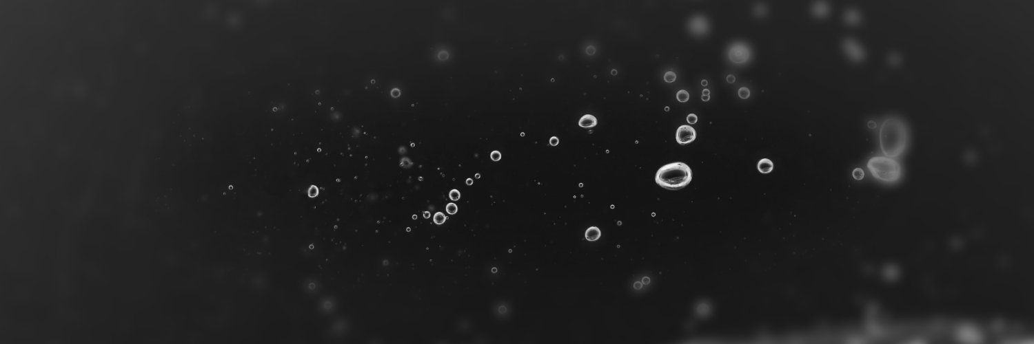 STEAKA's banner