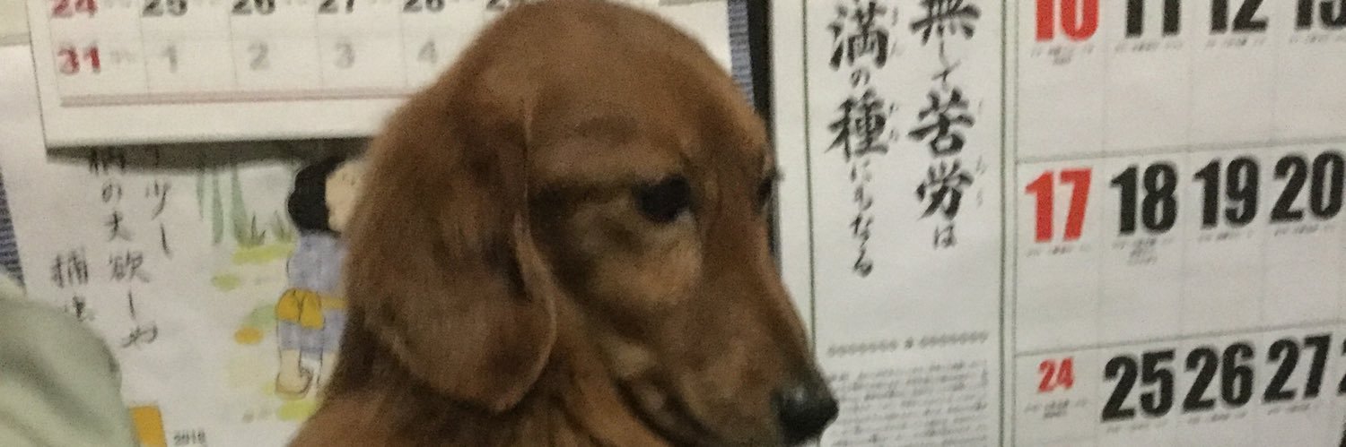 aria25777's profile banner image