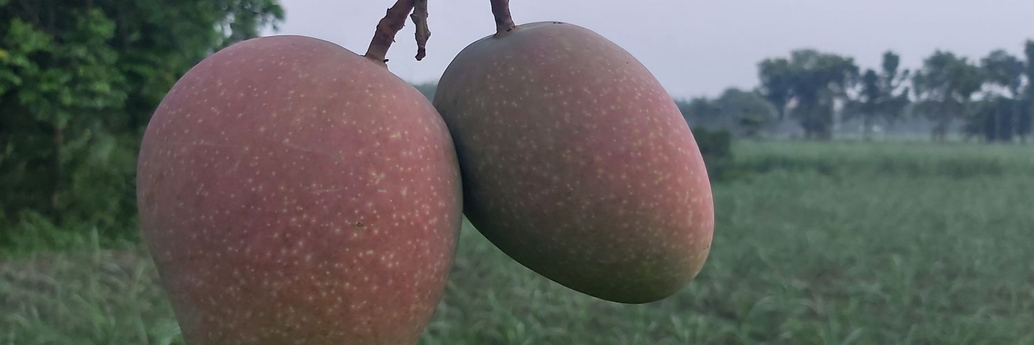 AGRAHO1's profile banner image