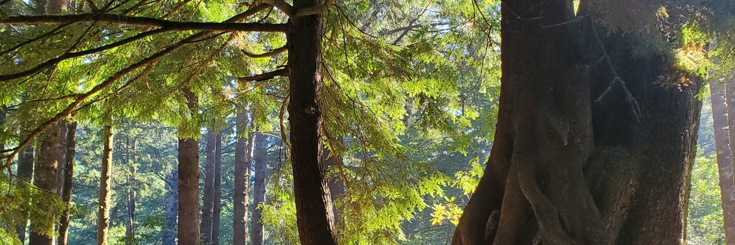 KGBizConsulting's profile banner image