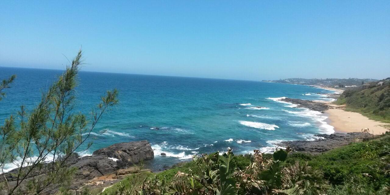 Lalitha Moodley♾ banner