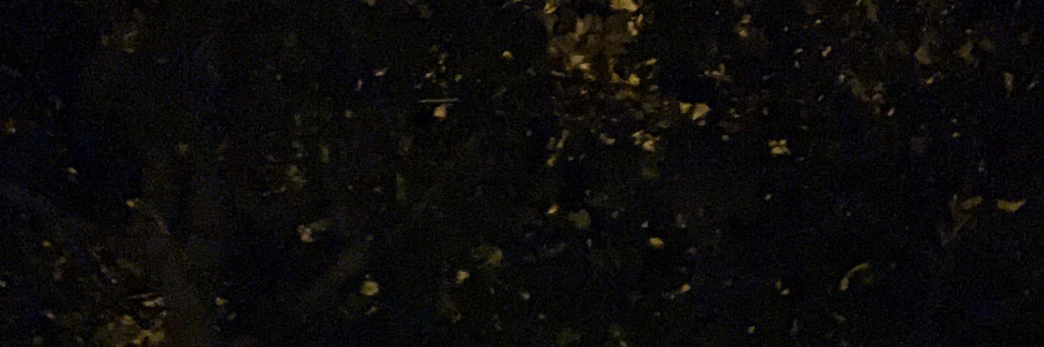 dessinquieta's profile banner image