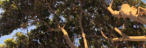 DrWacker Profile Banner