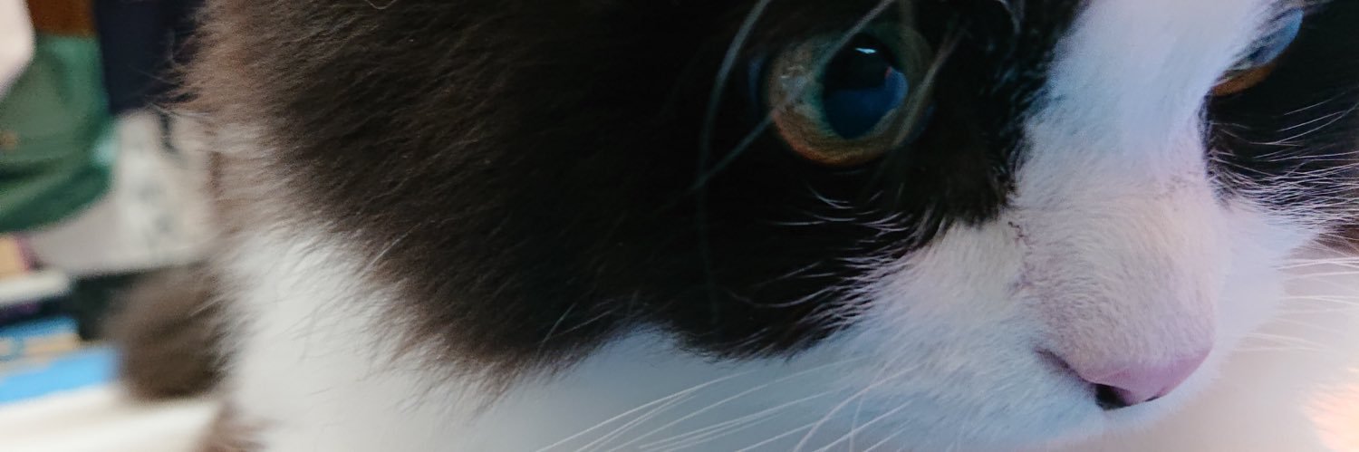 milus_yam0803's profile banner image