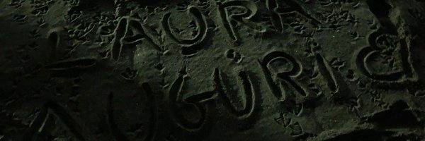 lauradimarzo0 Profile Banner