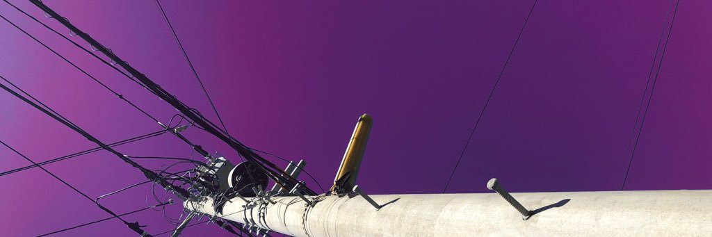 ふるかわいぬ banner