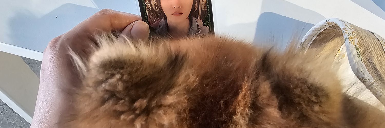 spinkimm's profile banner image