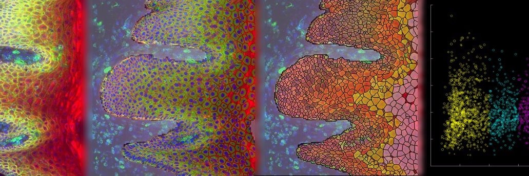 Trevor D. McKee PhD 🇿🇦🇺🇸🇨🇦😷 banner