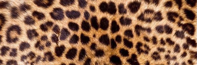 Micheal✮'s banner
