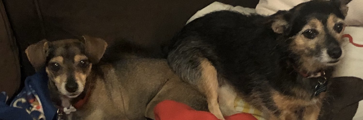 katew's profile banner image