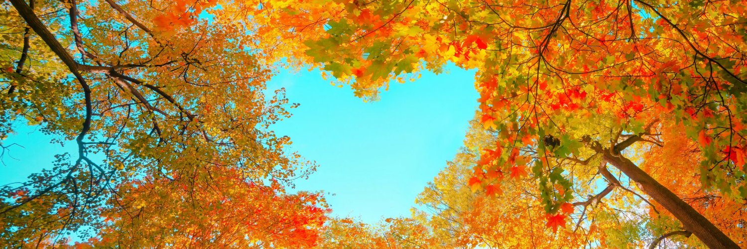 jgerard71's profile banner image
