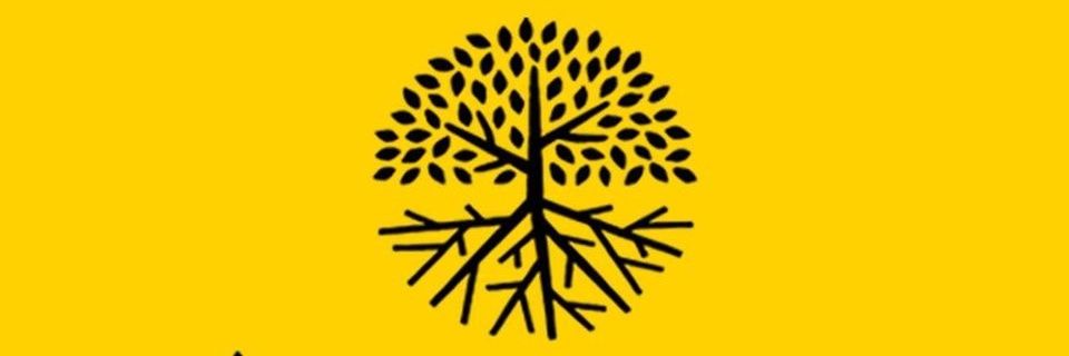 Alomonationofficial banner