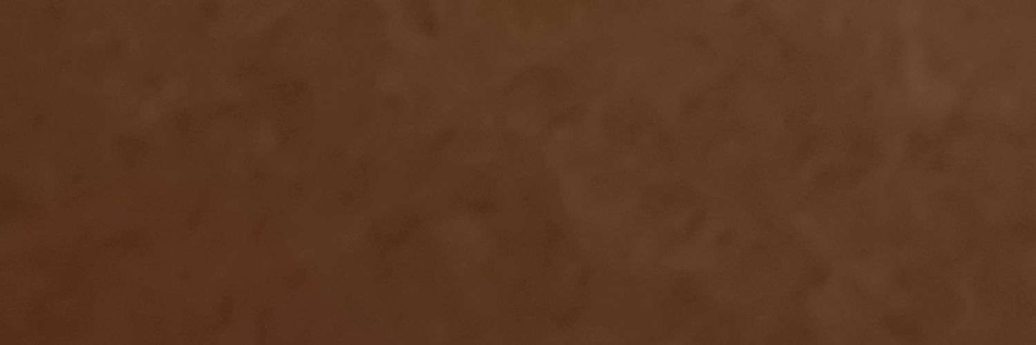 shesly__'s profile banner image